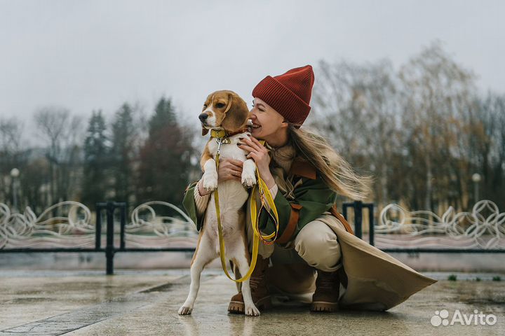 Передержка собак в Сарове