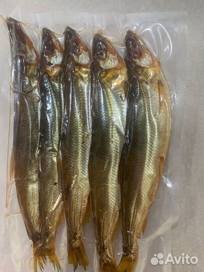 Корюшка, камбала, палтус, нерка, кижуч