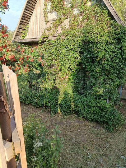 Дача 41 м² на участке 7 сот.