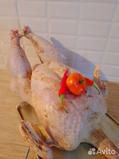 Мясо домашней индюшки