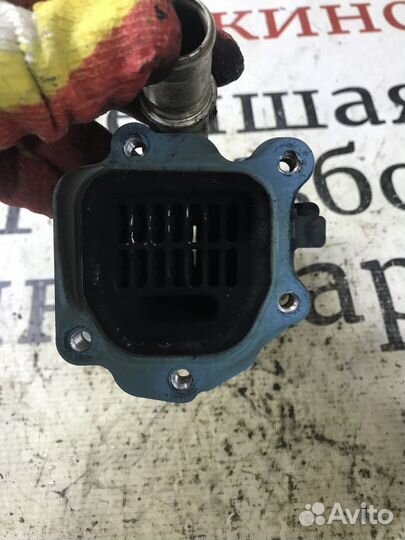 Радиатор системы EGR Land Rover Freelander