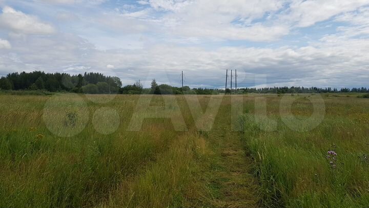 Участок 42,61 га (СНТ, ДНП)