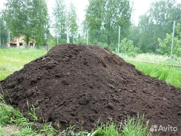 Чернозем доставка газоном