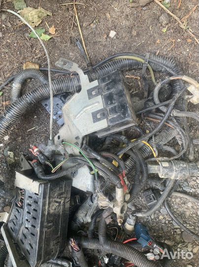 Проводка на приору, подкапотная