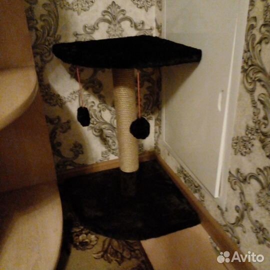 Когтеточка