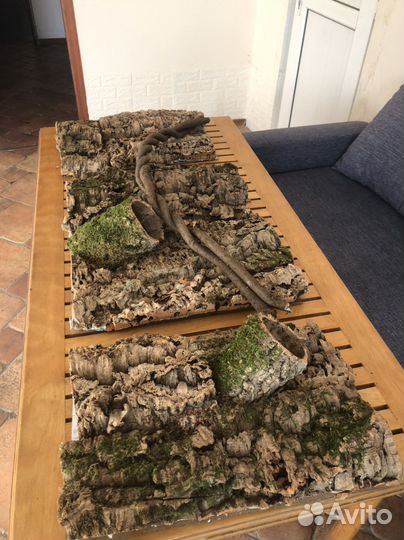 Кора пробкового дуба