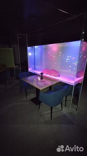 Аквариумы панорамные на 1000 литров