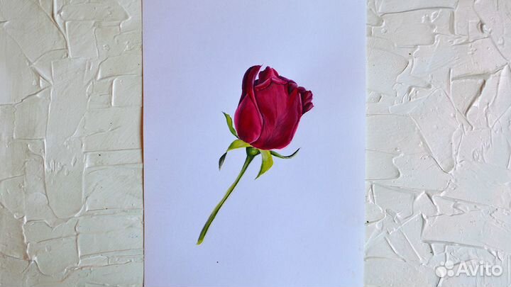 Картина акварелью много разные