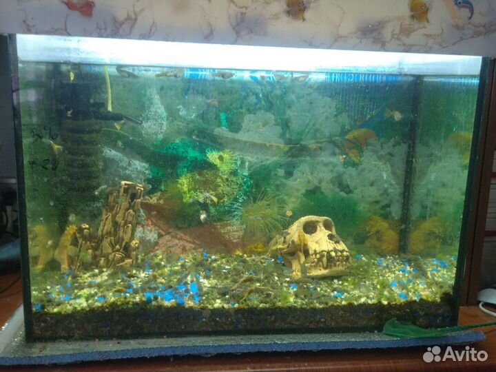 Аквариум 100 литров