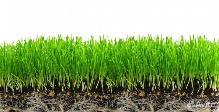 Газонная трава Семена Газона Маг Склад Симферополь