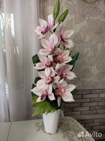 Орхидея цимбидиум