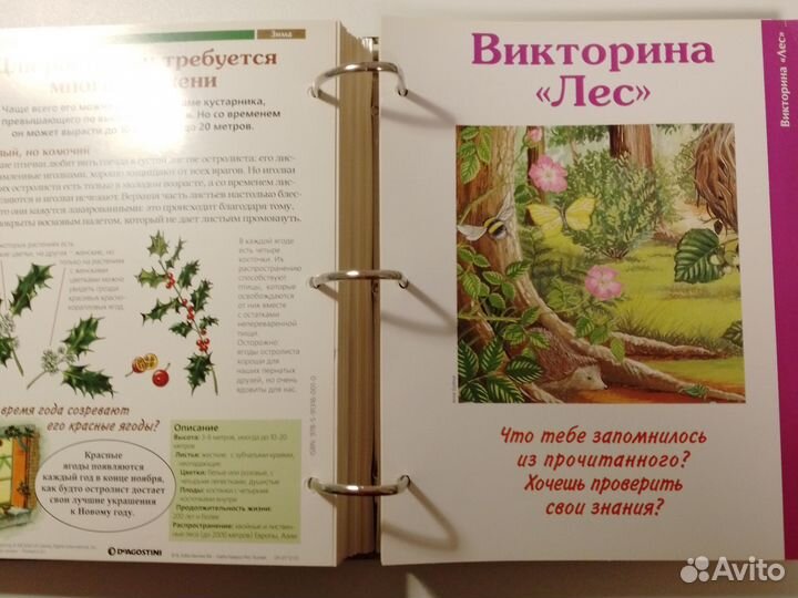 Deagostini Тайны леса