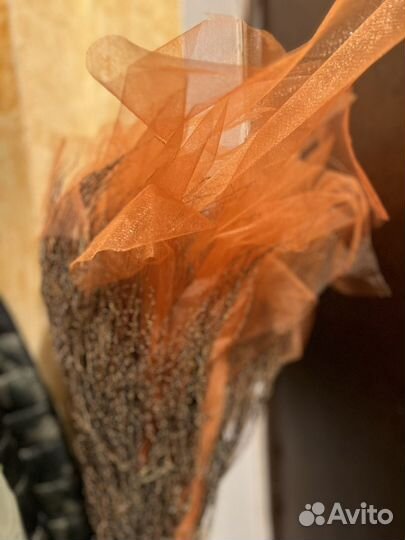 Метла ведьмы на Хэлоуин