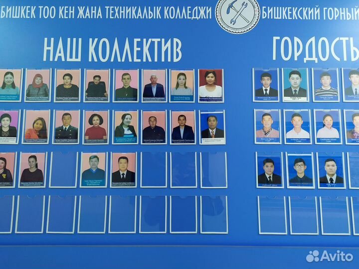 Репетитор по программированию