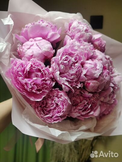 Цветы пионы и букеты