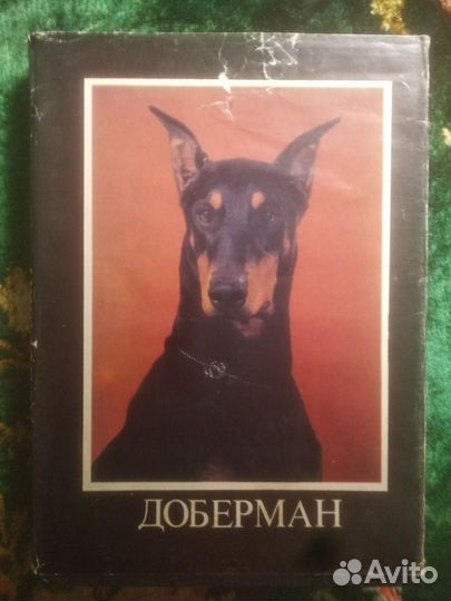 Книги про собак доберман такса охотничьи лайки