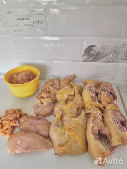 Курица домашняя разделка