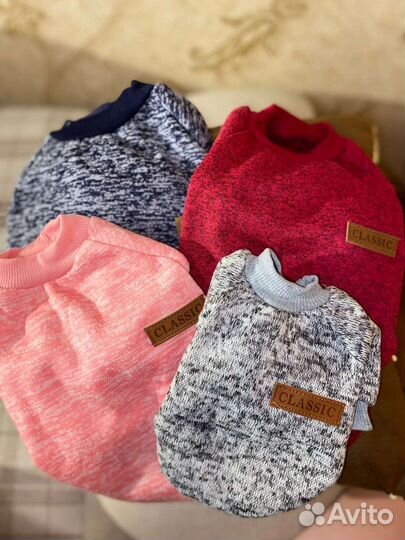 Одежда для маленьких собак