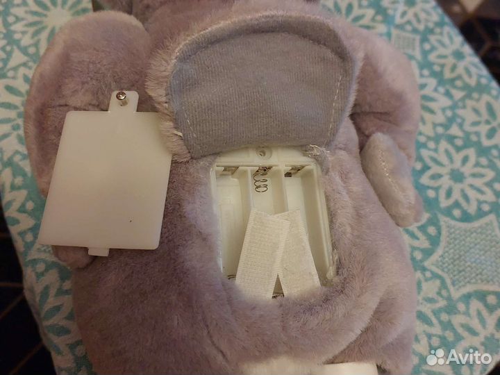 Поющий и танцующий енот