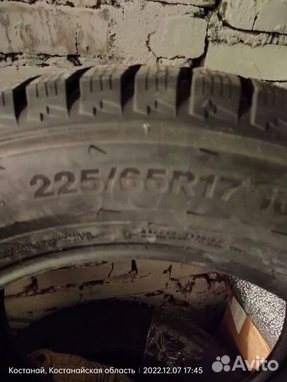 Triangle Snow-LL01 225/65 R17