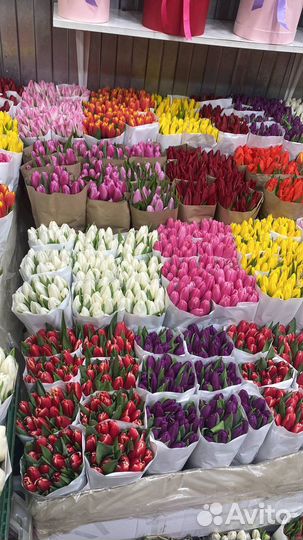 Арт:198981 Тюльпаны букеты с доставкой