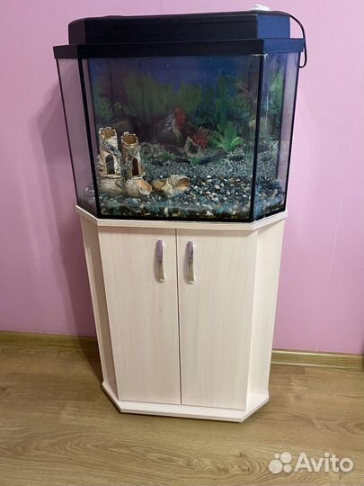 Аквариум
