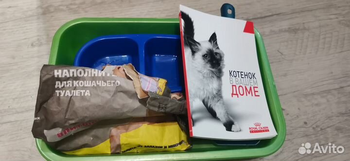 Лоток для кошек