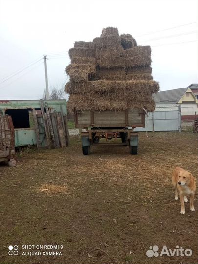 Прицеп тракторный 2ПТС-4 785а, 1989