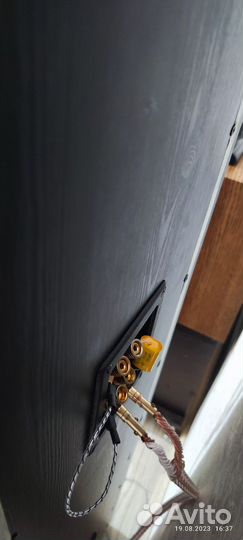 Акустика visatton на Solo 100 корпусах