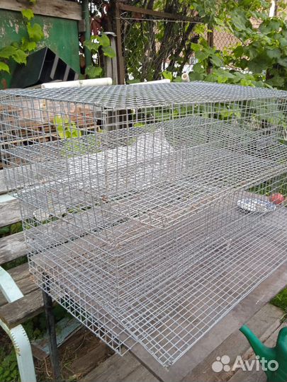 2 Клетки для перепелов бу