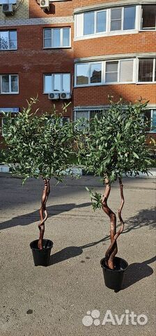 Олива искусственная