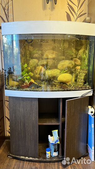 Аквариум с тумбой 200 литров