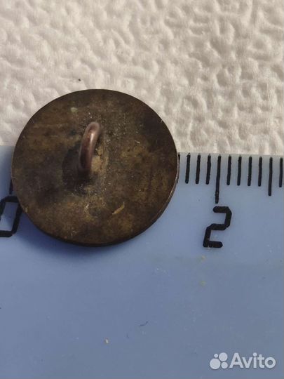 Пуговица франция