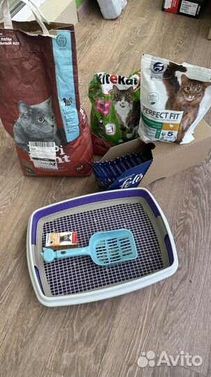 Кошачий наполнитель комкующийся