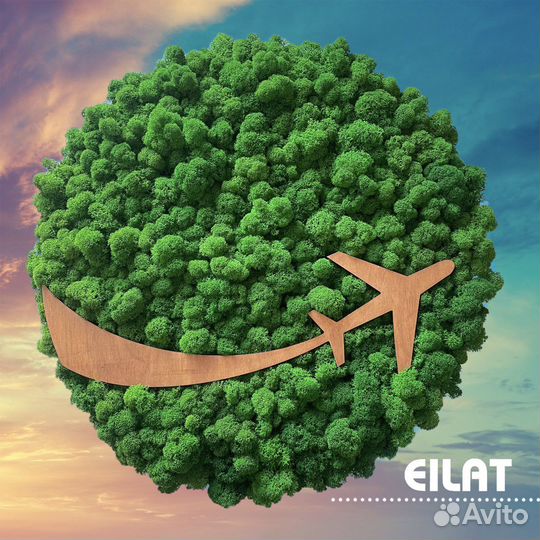 Мох Панно Картина Логотип «Самолёт» и др