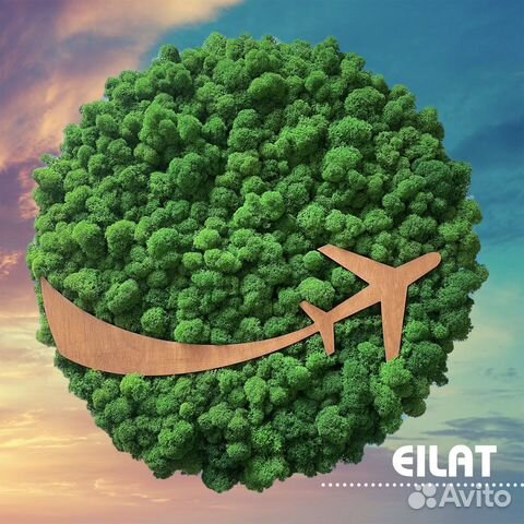 Мох Панно Картина Логотип «Самолёт» и др