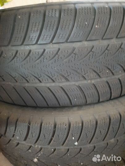 Triangle WinterX TW401 205/55 R16 92T