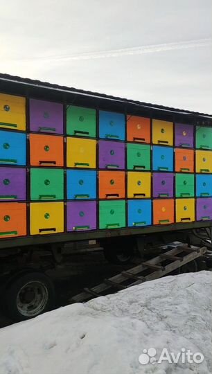 Мёд три литра 1200 личная пасека