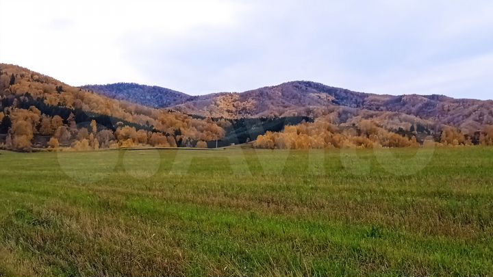 Участок 29,51 га (СНТ, ДНП)