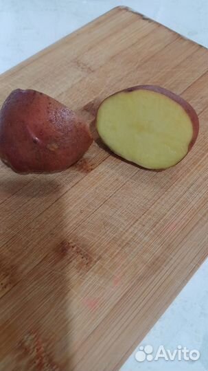 Семенной картофель