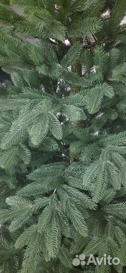 Ель искуственная литая