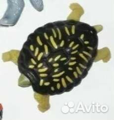 Киндер сюрприз natoons 2022