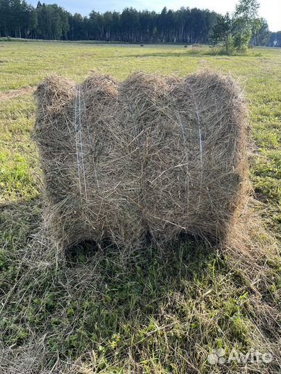 Сено в рулонах