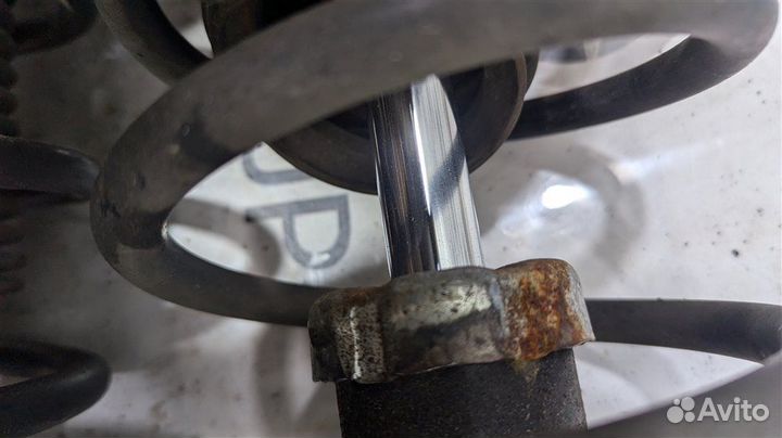 Амортизатор/стойка передняя левая Opel Vectra C