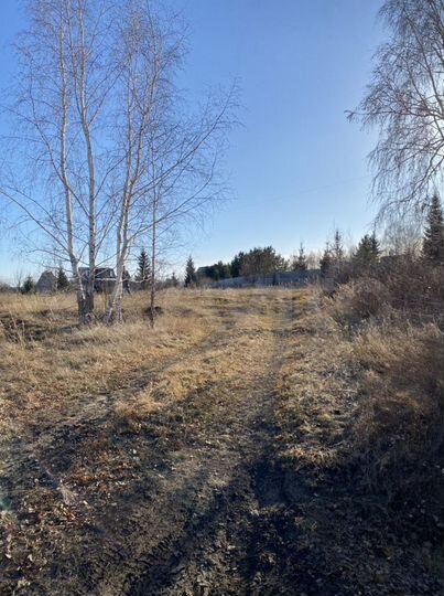 Участок 10 сот. (СНТ, ДНП)