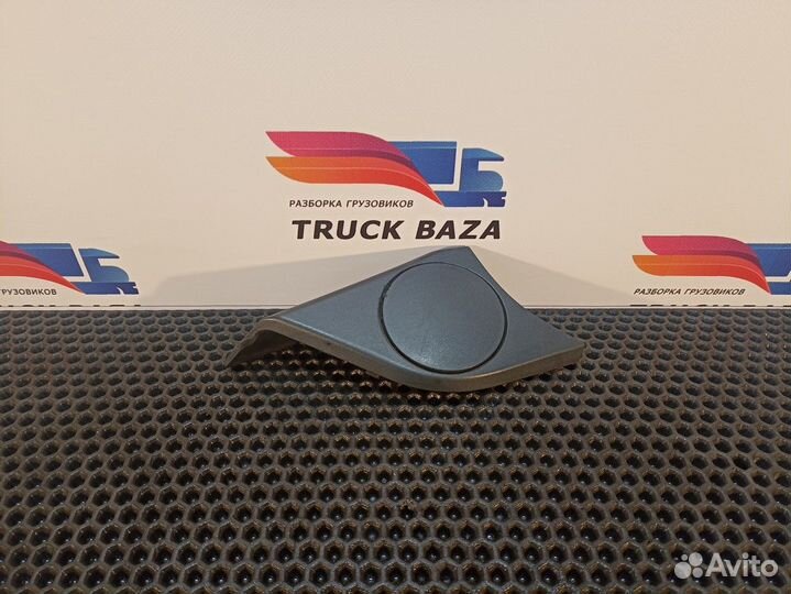 81619506070 Накладка двери правой Man TGL