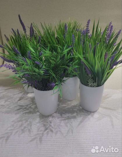 Искусственные растения для декора. Фикус, пальма