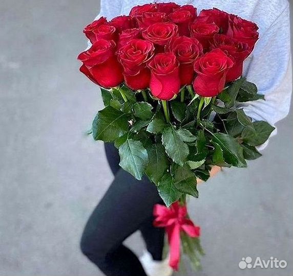 Высокие розы Гигантские розы 110