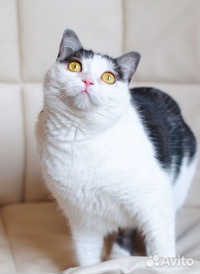 Молоденькая киска Полинка