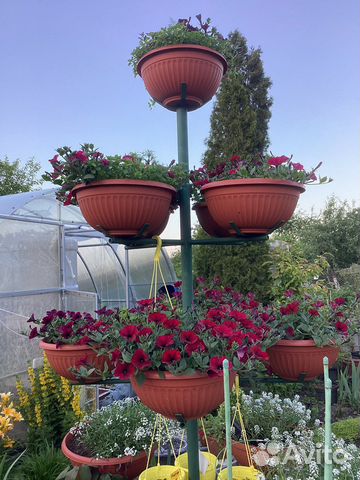 Цветочное дерево